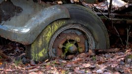 Rust and Decay.jpg Rust and Decay.jpg