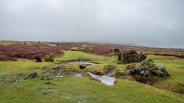 001 Foggy Start 01-0106 PS Adj Upload.jpg