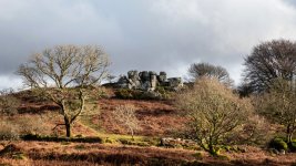 004 Snappers Tor 01-0176 PS Adj Upload.jpg