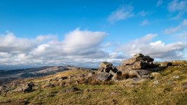 020 Hingston Hill Tor 01-3559 PS Adj Upload.jpg