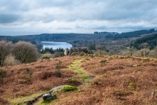 024 Snappers Tor & Burrator Reservoir 02-0221 PS Adj Upload.jpg
