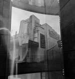 IMG_7646.jpeg IMG_7646.jpeg