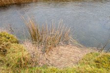 001 Disused Quarry 01-3577 PS Adj Upload.jpg