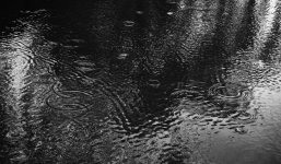Raindrops on Water.jpg
