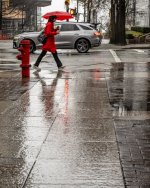 Week 5 - Rainy Day 5.jpg