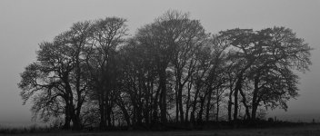 Open 4_ The Cairnhill Mist_2412_D2.JPG