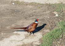 _DSC8124.jpg _DSC8124.jpg