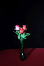 IMG_0001LoRes.jpg