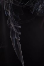 Darkfield-3.jpg