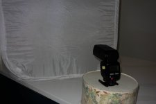 Darkfield-4.jpg