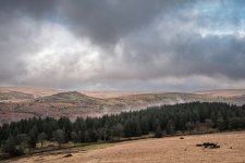019 Down Tor from Sheeps Tor 01-4044 PS Adj Upload.jpg