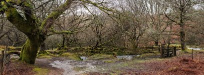 014 Middleworth Plantation Bridleway (Narrator Brook 2) 10-4018 PS Adj Upload.jpg