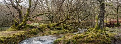 012 Middleworth Plantation Bridleway (Narrator Brook) 08-4016 PS Adj Upload.jpg