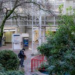 Week 6 - Looking Through 2.jpg