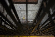 week six - Looking through-2.jpg