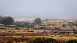 001 Powder Mills 01-2770 PS Adj Upload.jpg