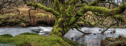 018 Powder Mills 18-4113 PS Adj Upload.jpg