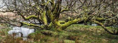 026 Powder Mills 26-4128 PS Adj Upload.jpg