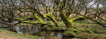 027 Powder Mills 27-4129 PS Adj Upload.jpg