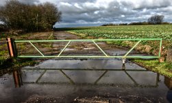 Gate Reflect 001.jpg