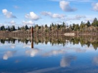 Week 7 - Reflections in Water 3.jpg