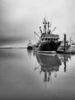 Week 7 - Reflections in Water 5.jpg