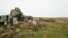 011 Legis Tor 03-1000381 PS Adj Upload.jpg