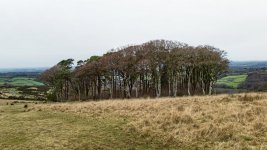 024 Ringmoor Copse 02-2000190 PS Adj Upload.jpg