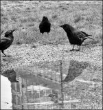 Feb 13-26 (1 of 15).jpg