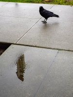 Feb 13-26 (5 of 15).jpg