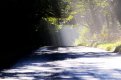 ImageUploadedByTalk Photography Forums1442508185.404428.jpg