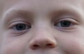 eyes.jpg