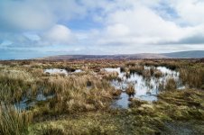 007 Boggy Ground 01-1000411 PS Adj Upload.jpg