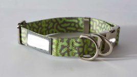 collar.jpg