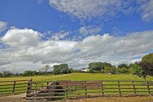 tn__DSC5967.JPG