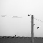 WordPress - 1024_gms_20260307_7537182.jpg