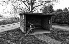 Gimme Shelter 001.jpg