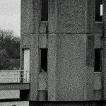 CRX 50P APX400 100% Crop 2.jpg