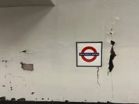 IMG_4091.jpeg