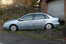 IMG_0447xxx.jpg