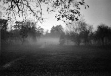 2512APMXBW25 Misty.jpg