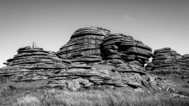 012a Greta Links Tor BW 04-1000536 PS Adj Upload.jpg