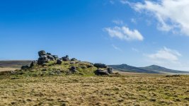 020 Arms Tor 06-2000253 PS Adj Upload.jpg