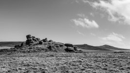 020a Arms Tor BW 06-2000253 PS Adj Upload.jpg