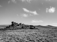 103a Arms Tor BW 02-1002476 PS Adj Upload.jpg