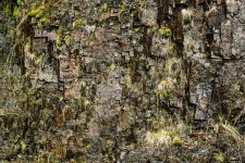 101 Quarry Wall 01-1002458 PS Adj Upload.jpg