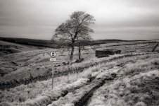 2026-3-18 Nenthead, OLY 35rc, FP4 type 517, EI 100, d23r 14m30s,   014.jpg