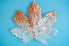 Decay-0553.jpg