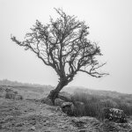 011 Swelltor Quarries Lone Tree 01-0348 PS Adj Upload.jpg