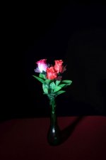 Roses In Vase IMG_0002.jpg